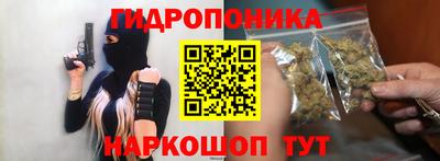 тгк Гусев