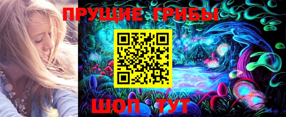 Псилоцибиновые грибы мицелий  Галлюциногенные грибы Cubensis  Вход с VPN  Россия 